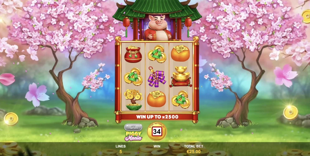 Piggy Mania